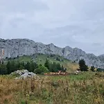 The R *